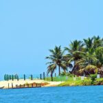 beach, coconut tree, paradise